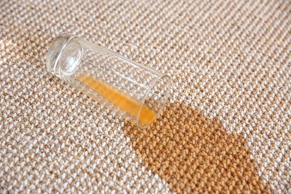 Stain Removal by Encore Carpet Professionals