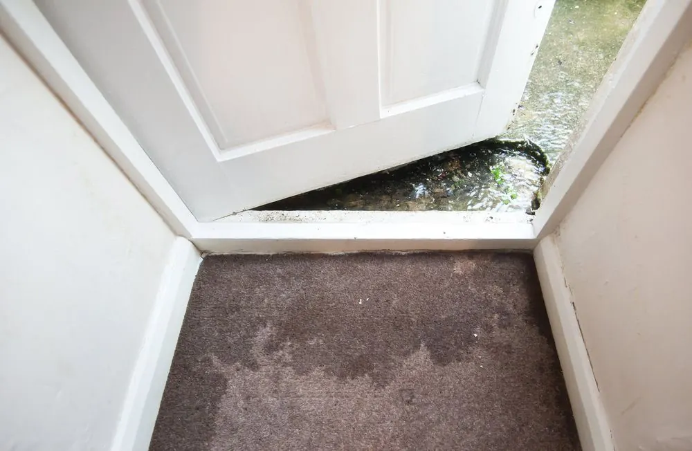 Flood Damage Restoration by Encore Carpet Professionals