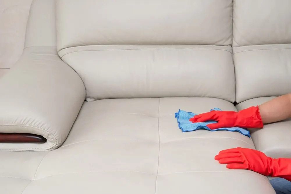 Leather Cleaning by Encore Carpet Professionals