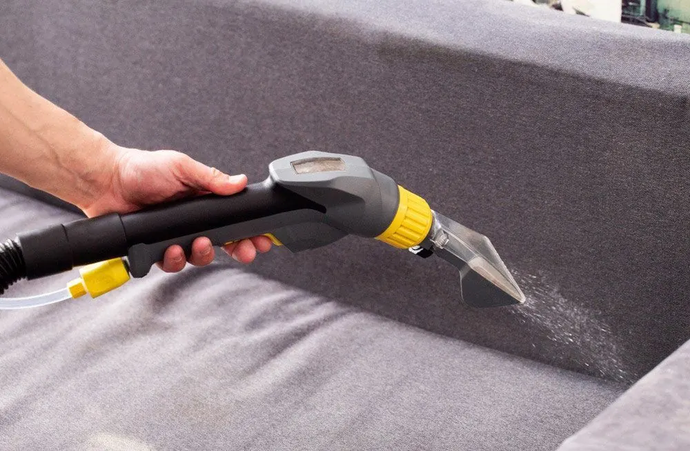 Pet and Urine Stain Removal by Encore Carpet Professionals