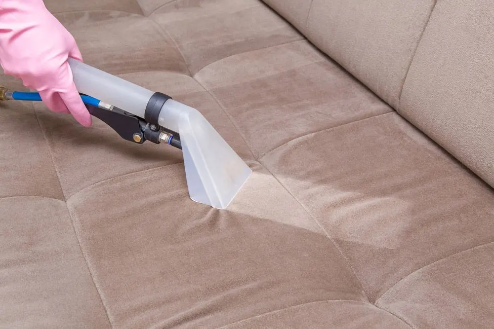 Upholstery Cleaning by Encore Carpet Professionals