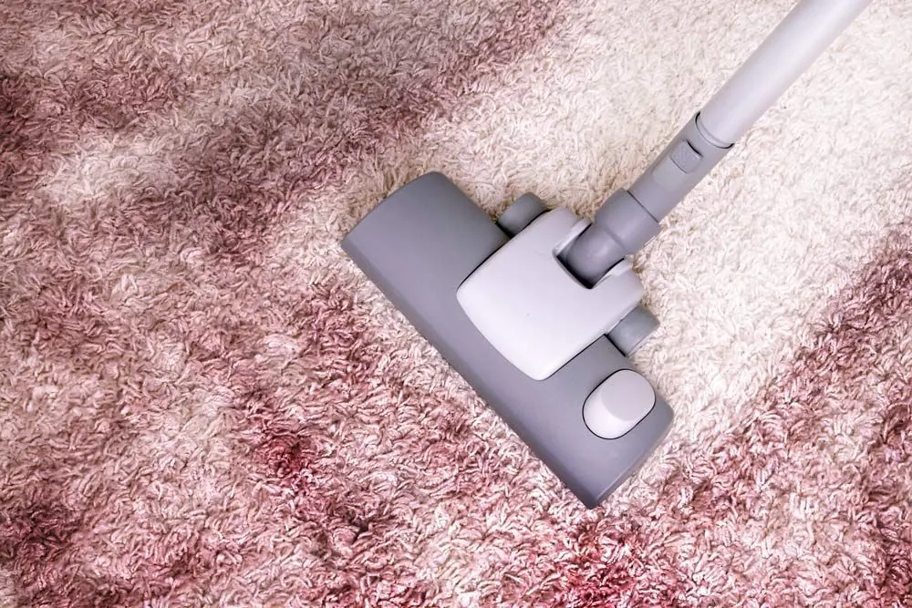 Vacuum cleaner on carpet for Encore Carpet Professionals