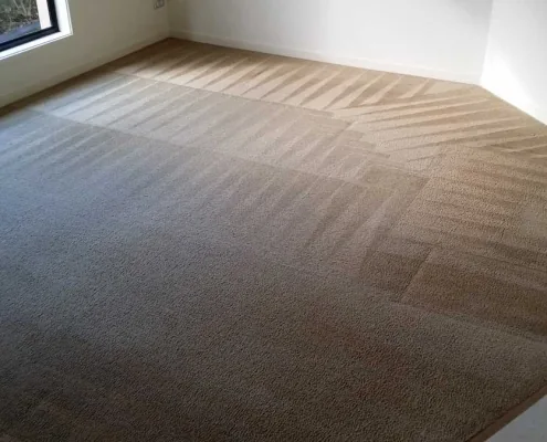 Darren Wanty with Evolution carpet cleaning equipment