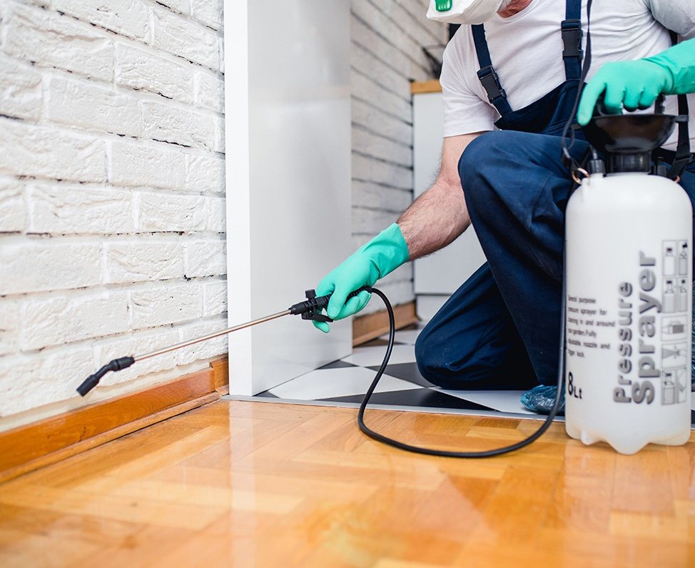 Pest Control Services Brisbane by Expert Bond Cleaning