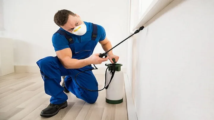 Pest Management by Express Dry