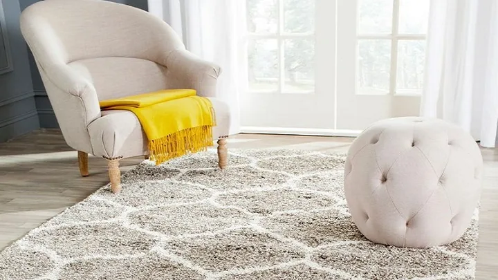 Residential Carpet Cleaning by Express Dry