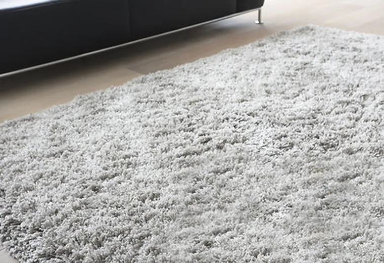 Carpet Deodorizing service image