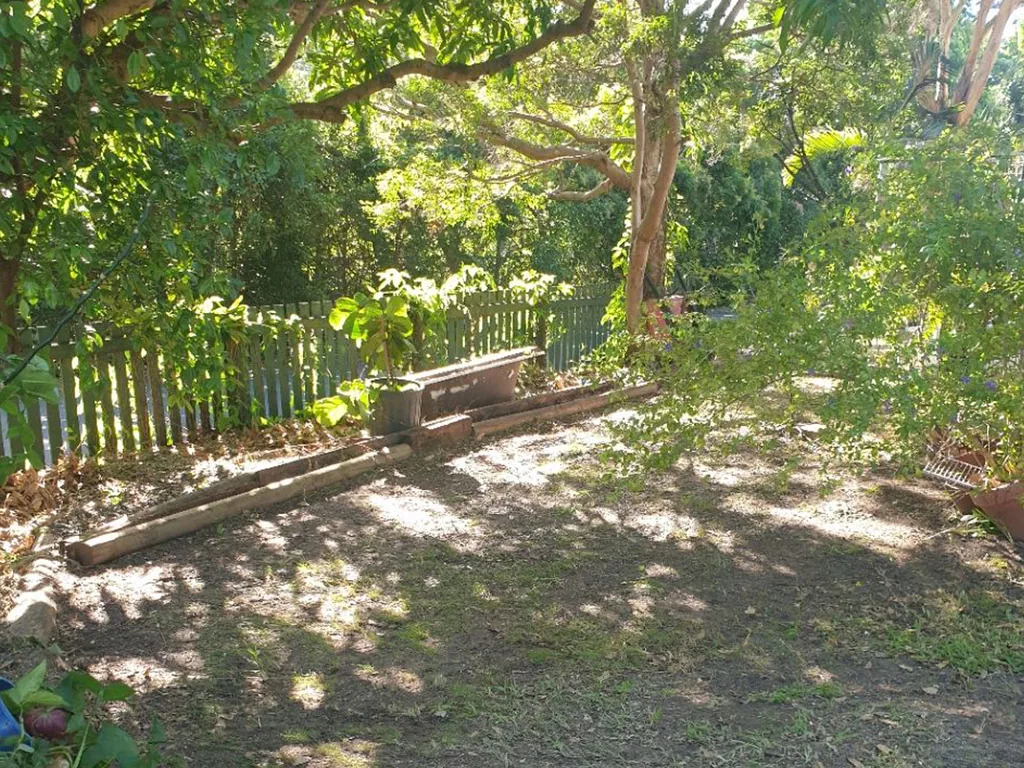 Manly 2024 - Overgrown garden