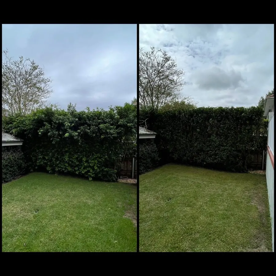 Cleaned outdoor path