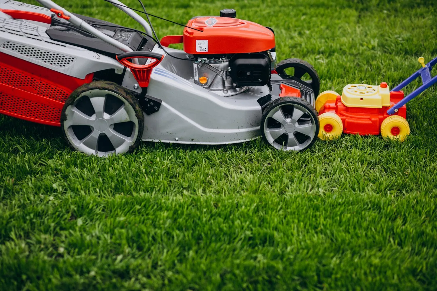 Lawn Mowing