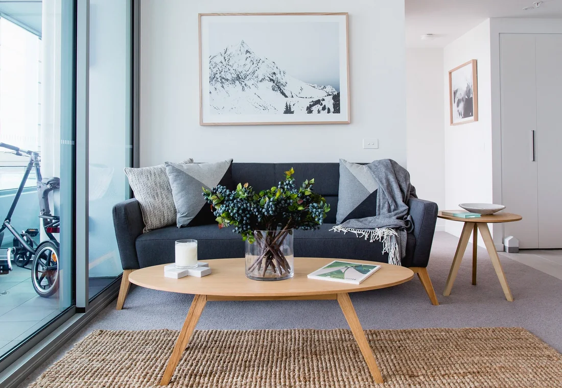 Carpet care service image