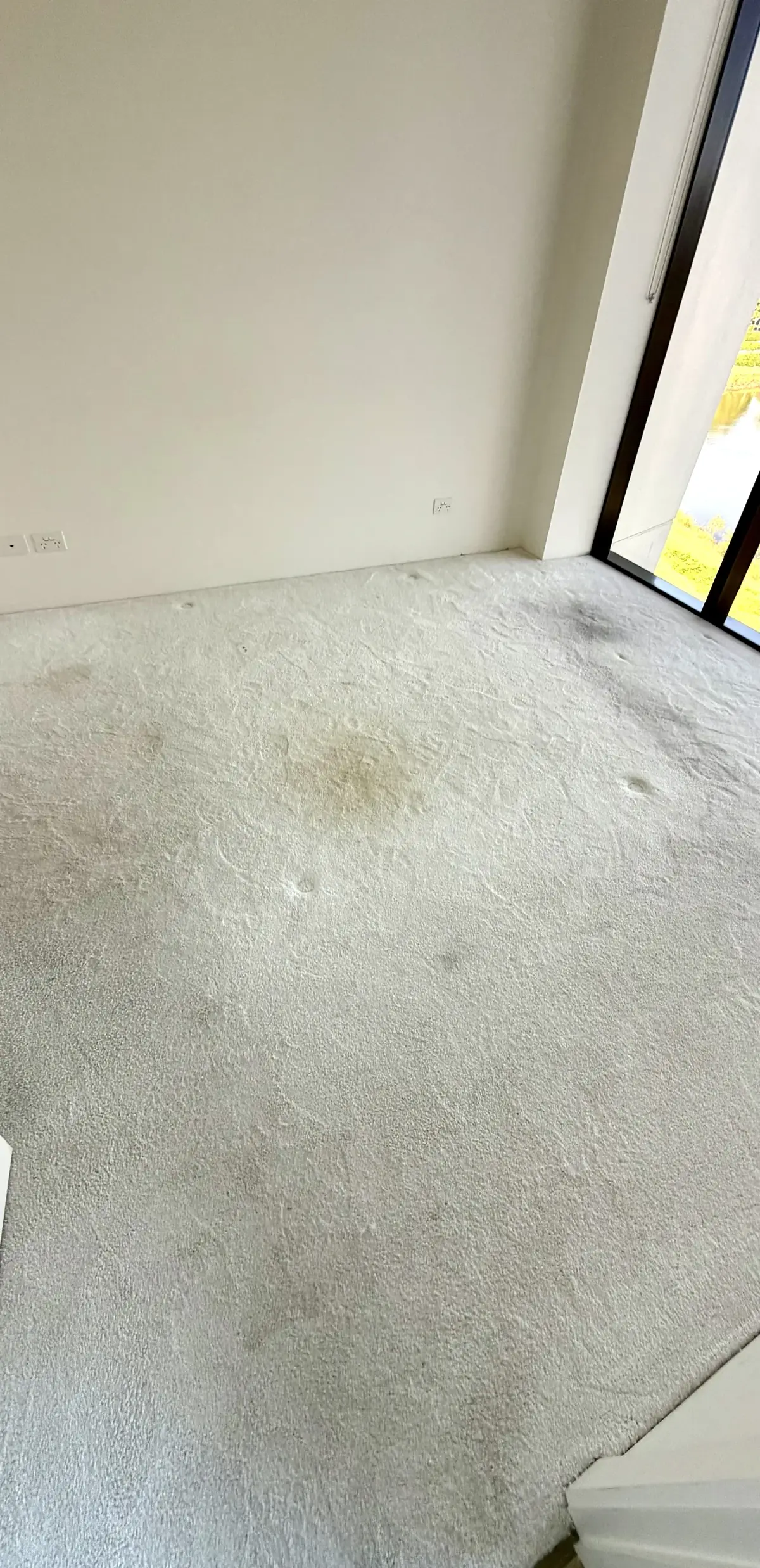 Carpet revival, Gold Coast