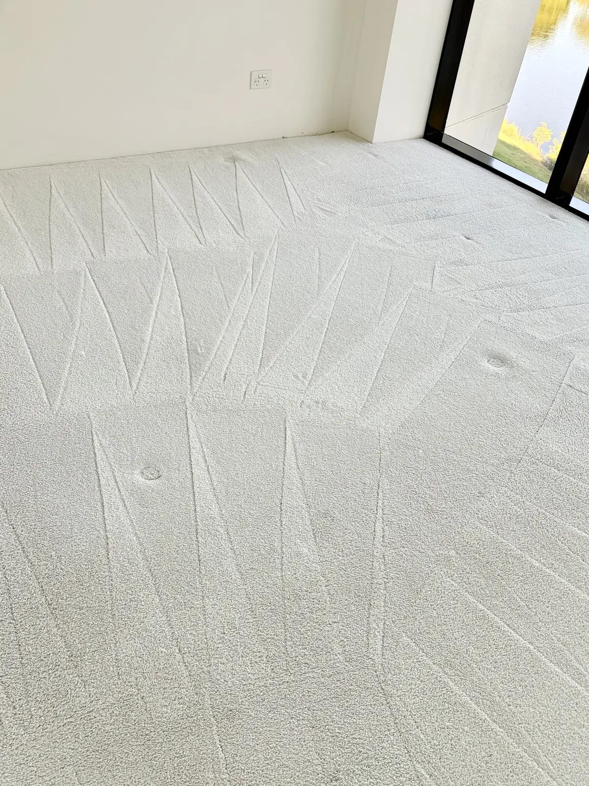 Freshly steam-cleaned carpet, Mudgeeraba
