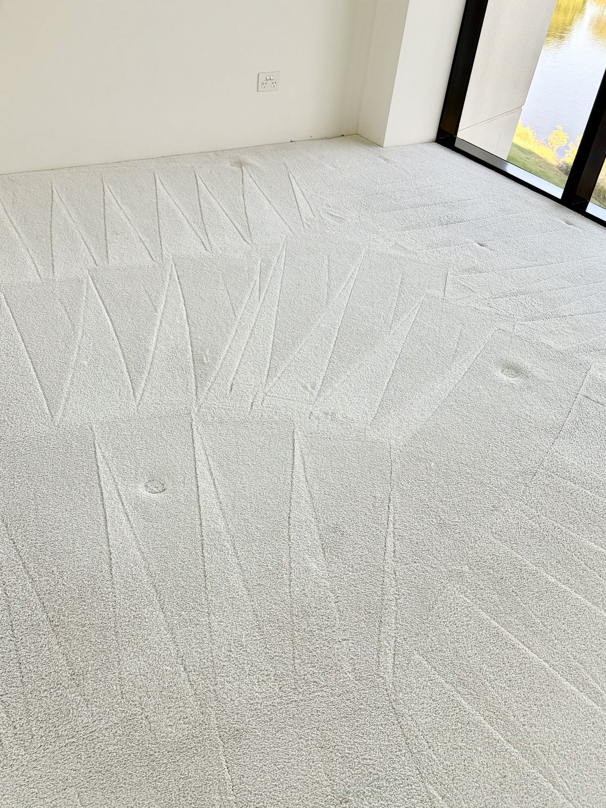 Freshly steam-cleaned carpet with crisp grooming lines, Mudgeeraba Gold Coast