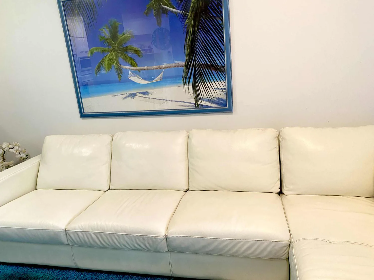 Sofa stain removal, Gold Coast