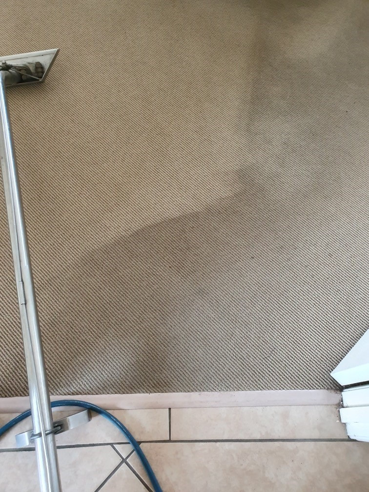 Home carpet cleaning Brisbane