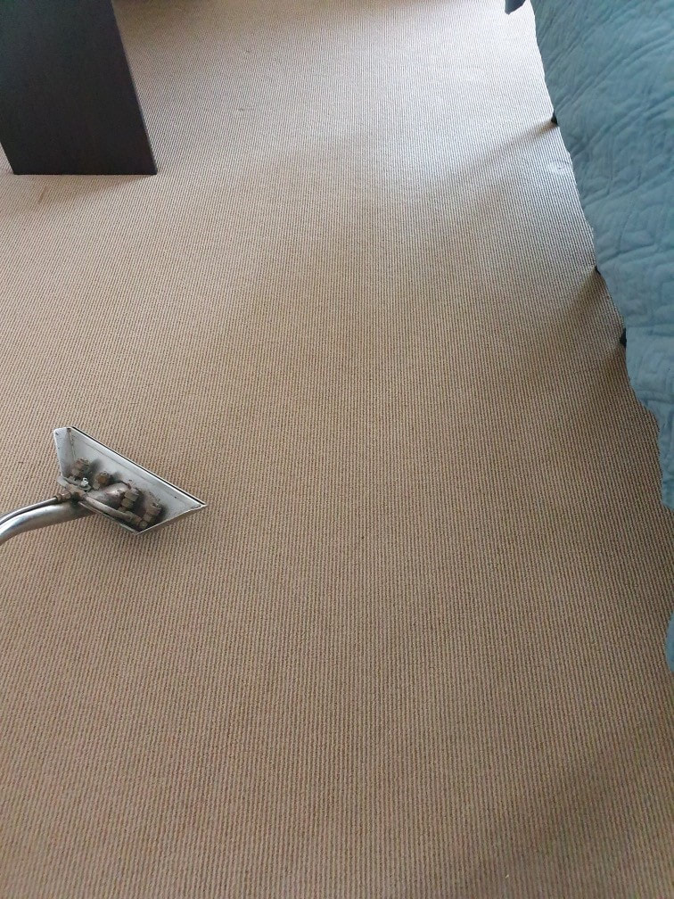 Bond carpet cleaning Brisbane