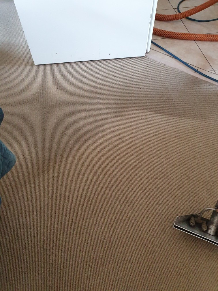 Office carpet cleaning Brisbane