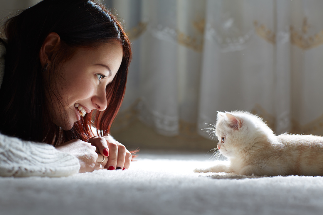 Mattress cleaning Brisbane