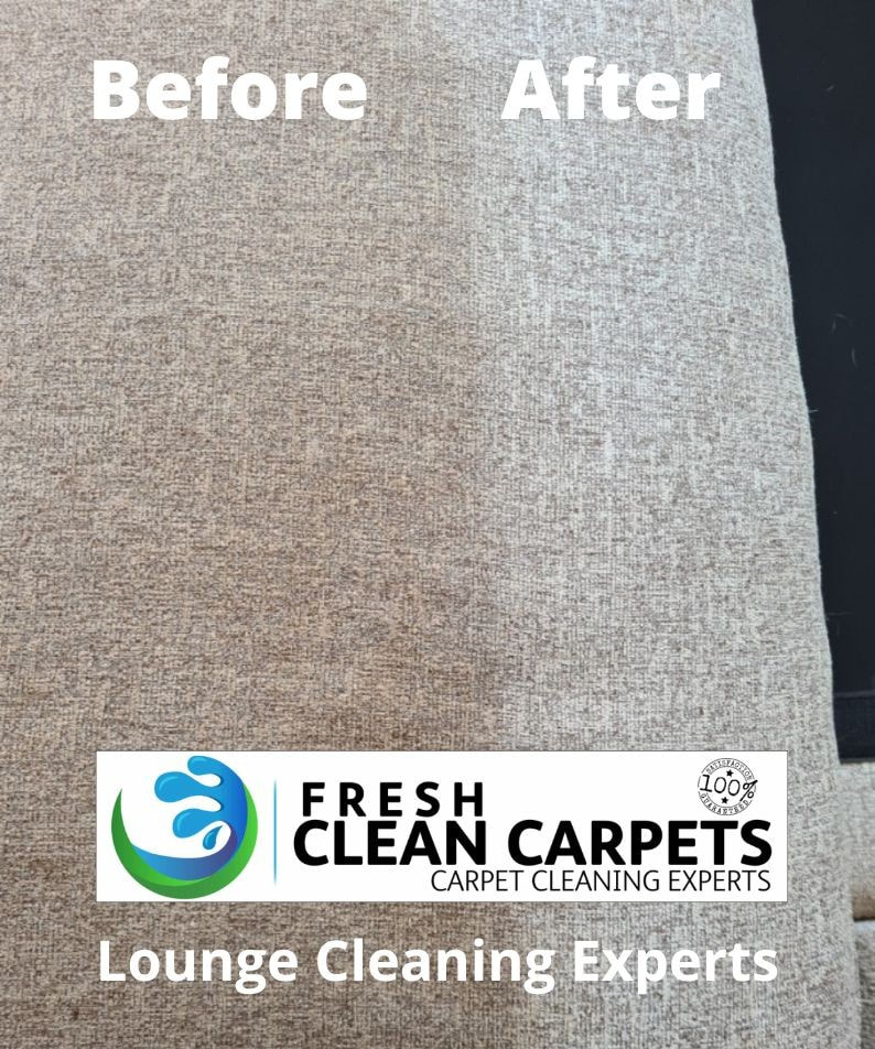 Clean sofa after professional upholstery cleaning