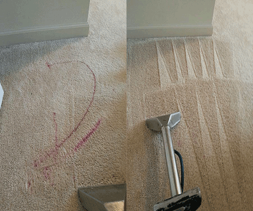 Advanced Spot & Stain Removal in Caboolture
