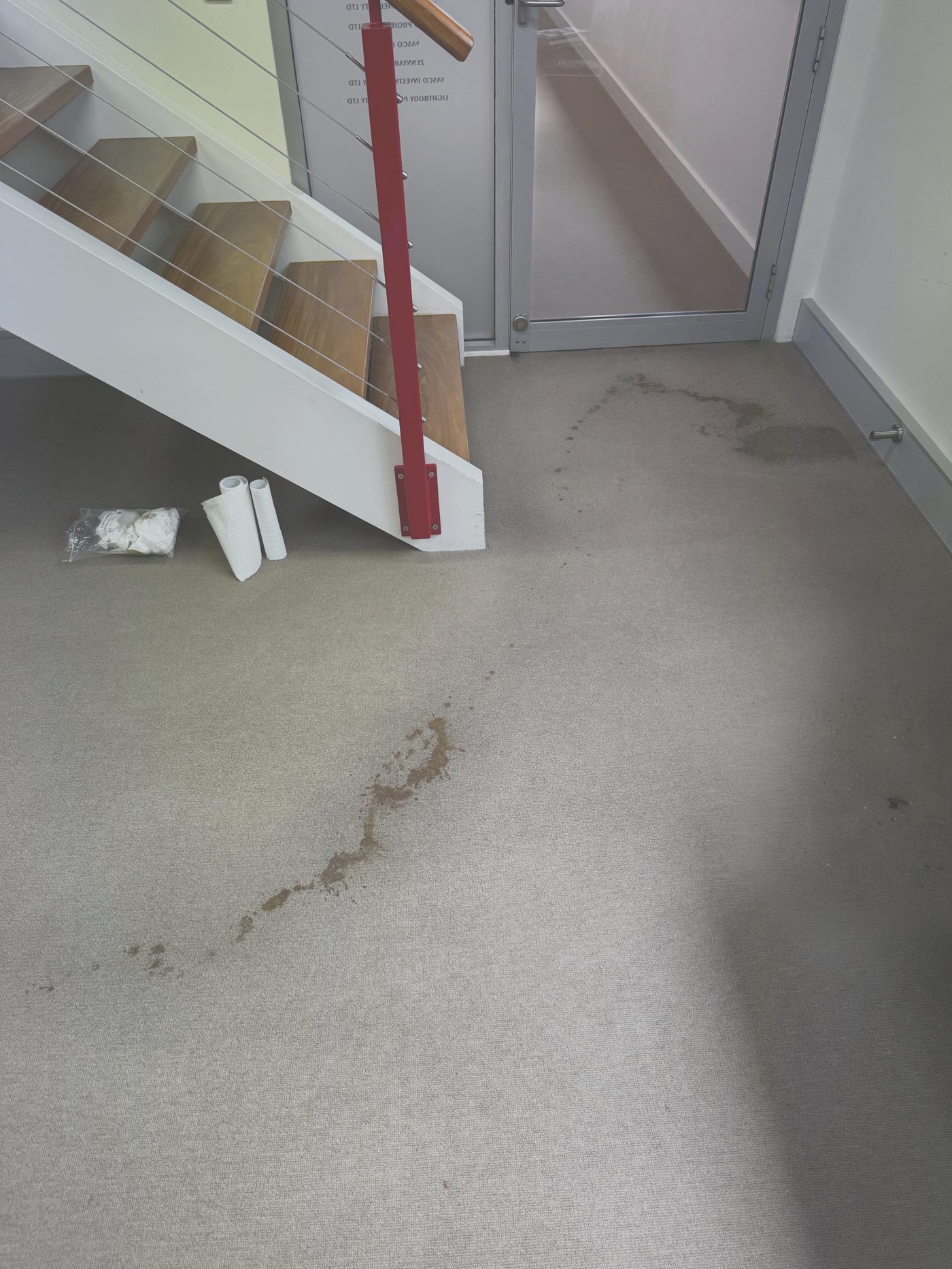 Stained carpet before professional cleaning