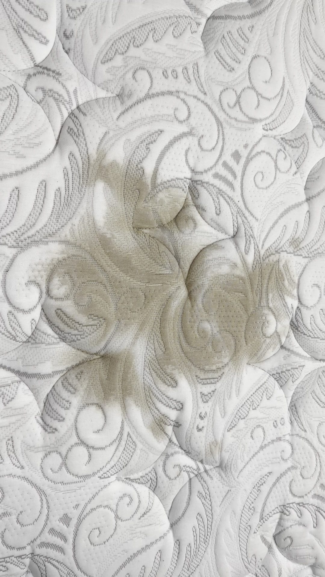 Close-up of freshly cleaned upholstery fabric