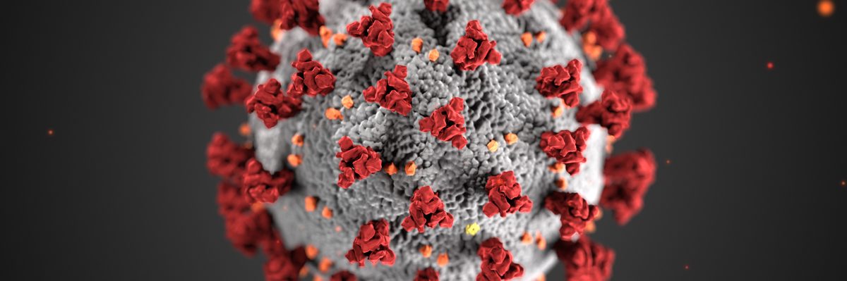 Building a plan to battle the virus