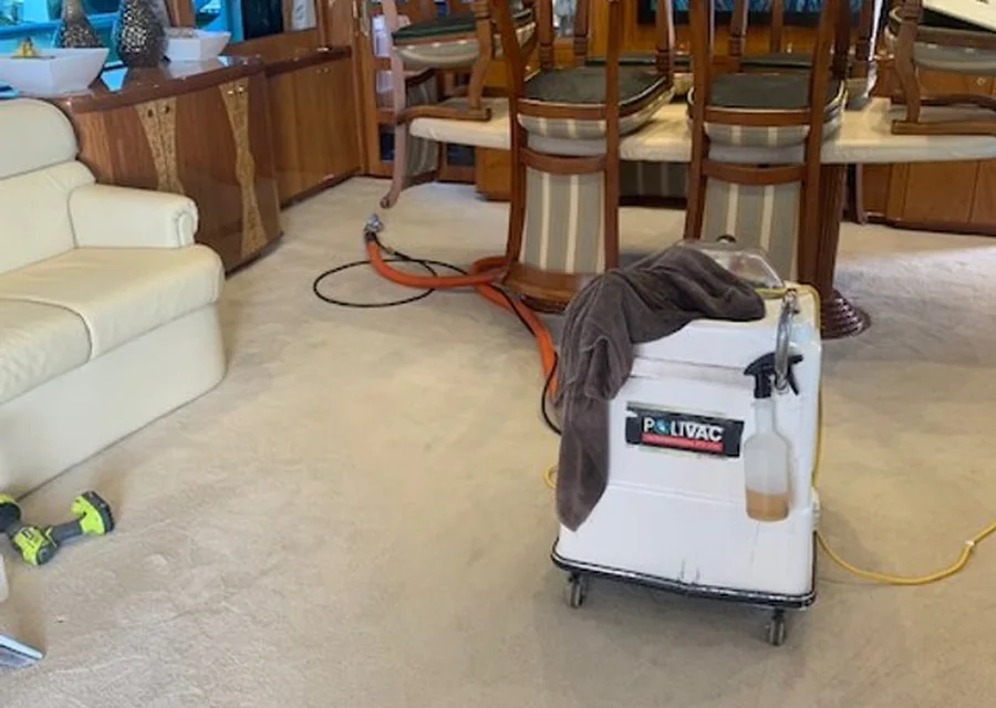 The Importance of Regular Professional Carpet Cleaning