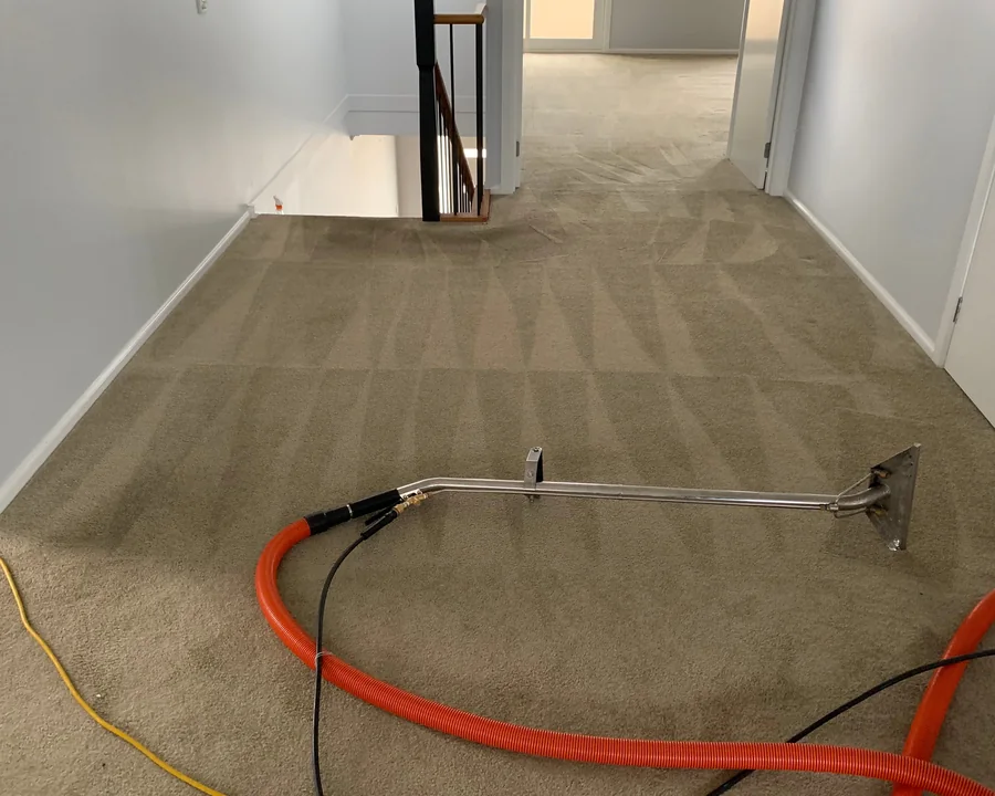 Carpet Cleaning cleaning image from Gold Coast Couch and Carpet Cleaners