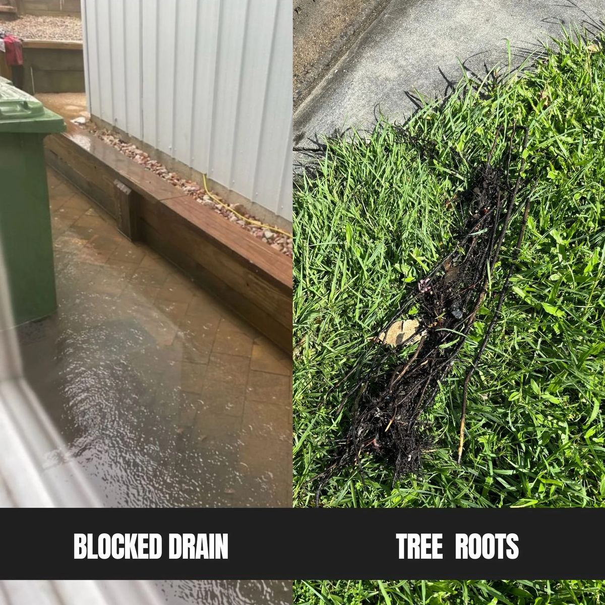Blocked Drains &mdash; GEOPLUMB Brisbane