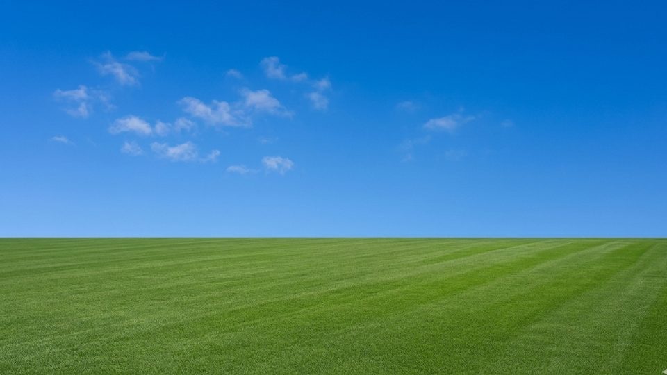 Open horizon of bright green mowed grass under a clear blue Brisbane sky