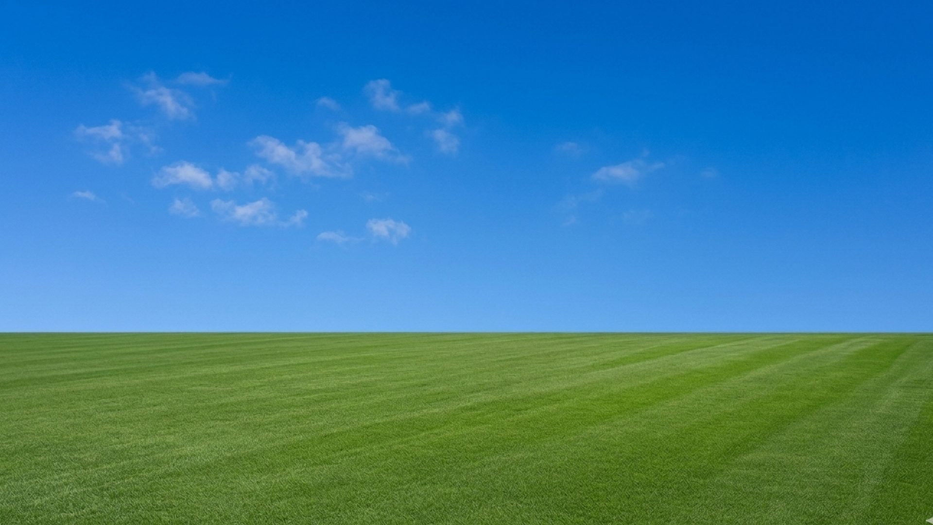 Lawn Mowing work in Brisbane