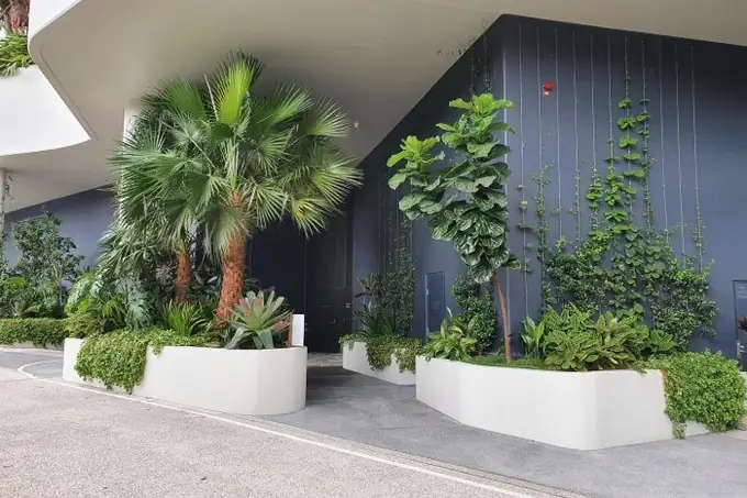 West End — a Brisbane garden project by Greater Brisbane Gardens