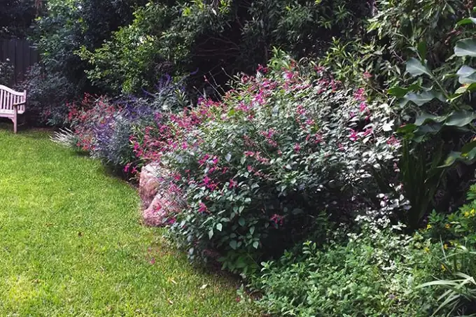 Eden Lane / Ivy Terrace — a Brisbane garden project by Greater Brisbane Gardens