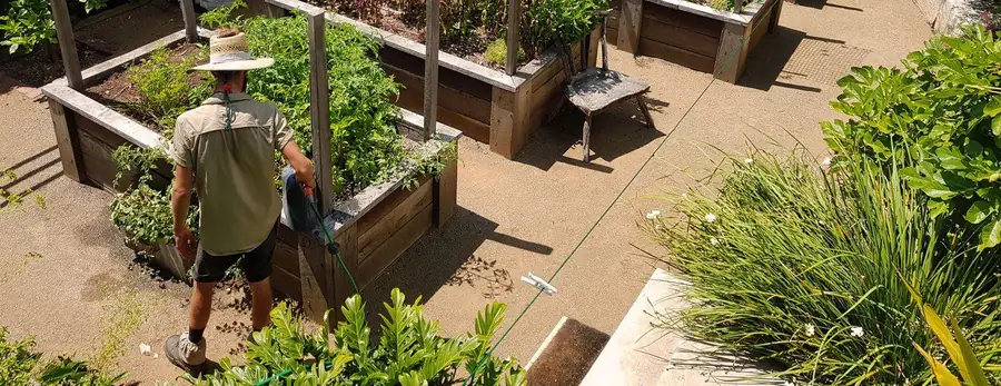 The Greater Brisbane Gardens team tending a garden in Brisbane