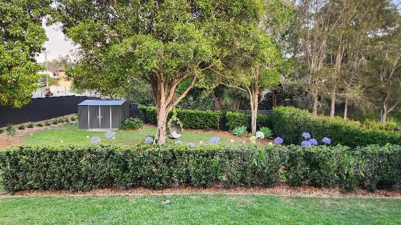 Hedged garden and lawn