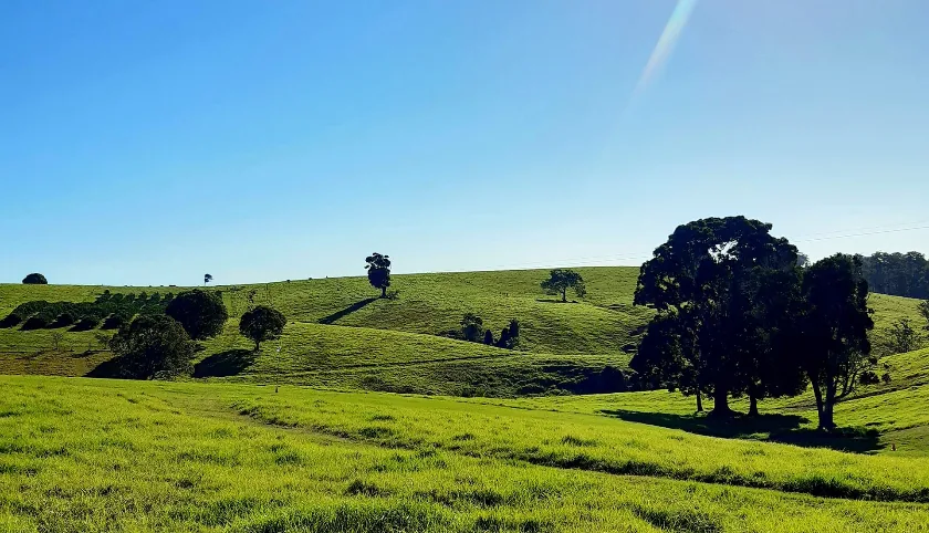 Rolling green South-East Queensland countryside