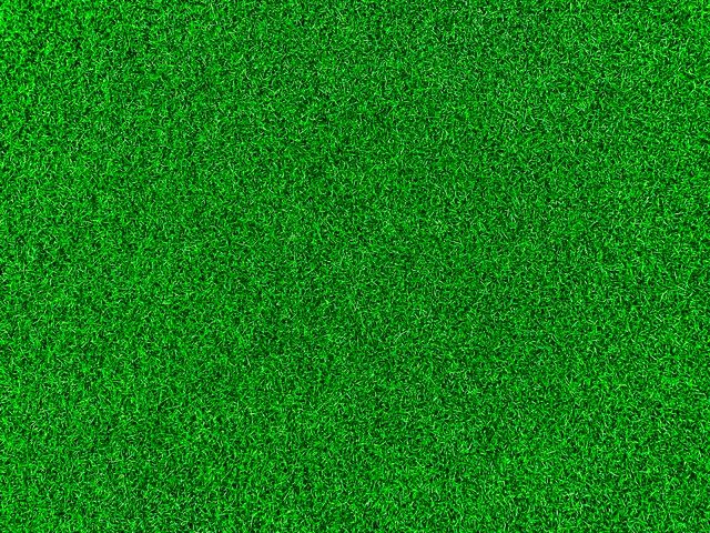 Lawn mowing pricing