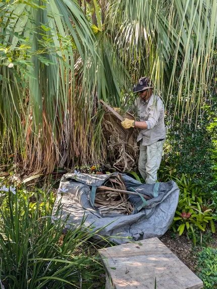 Garden cleaning
