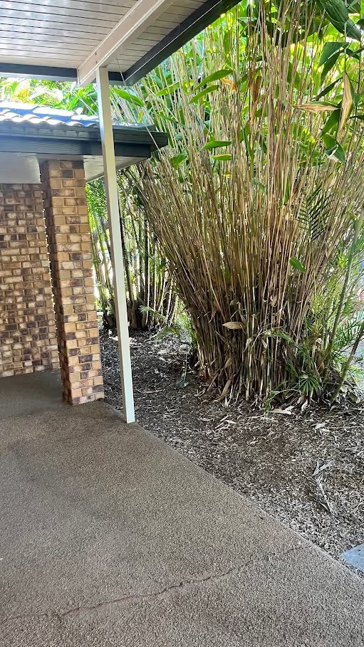 Garden clean