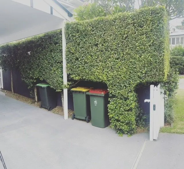 Neatly clipped hedge screening a side passage