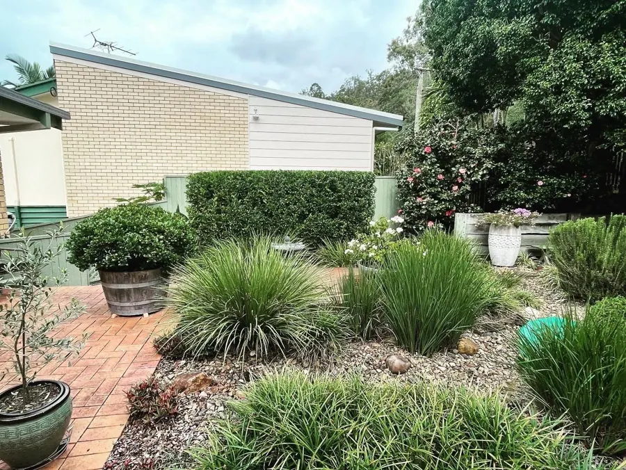 Mulched native garden bed