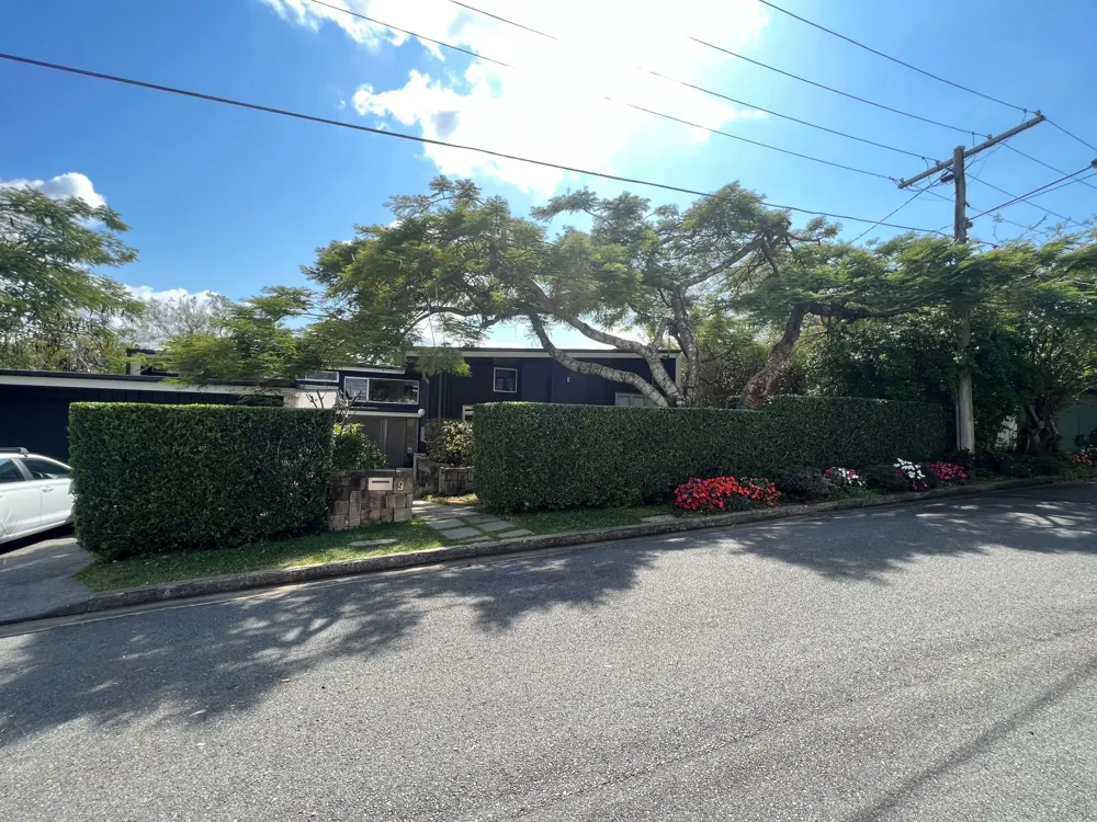 Long screening hedge trimmed to a clean line