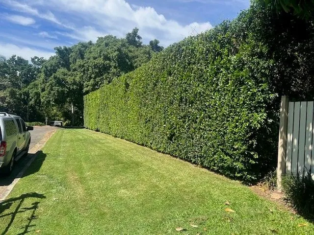 Hedge Trimming by Greenhow Gardening Service in Ashgrove