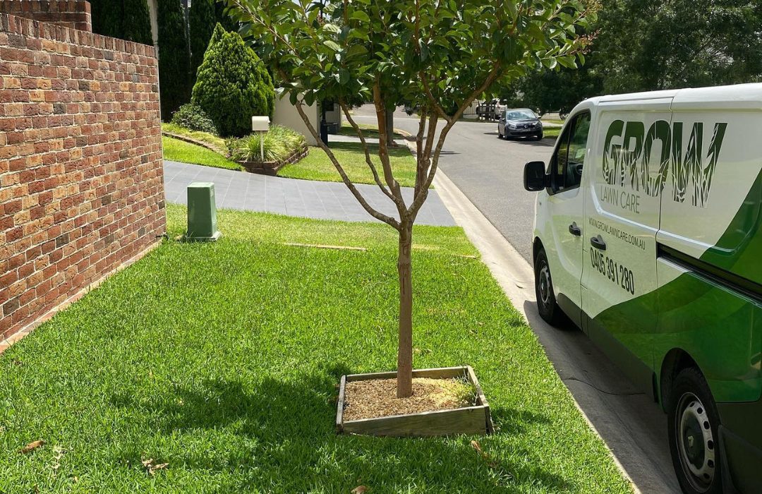 Lawn Care Programs in Sydney — Grow Lawn Care