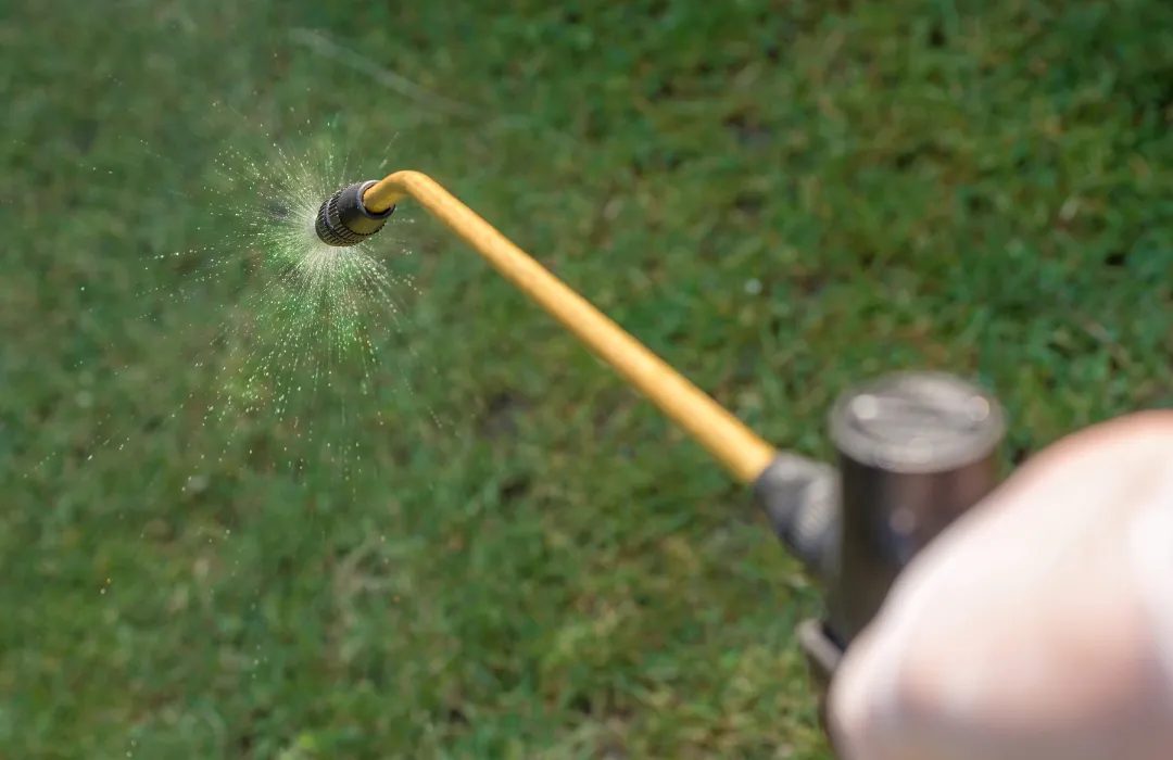 Garden Pest & Lawn Grub Treatment in Sydney — Grow Lawn Care