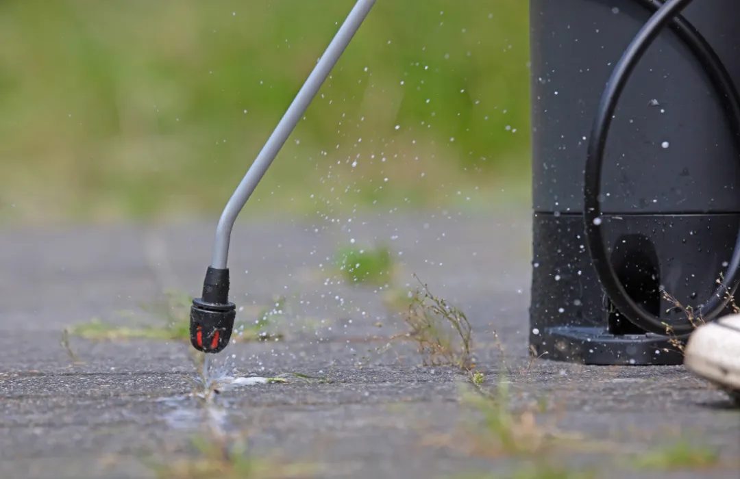 Weed Control in Sydney — Grow Lawn Care