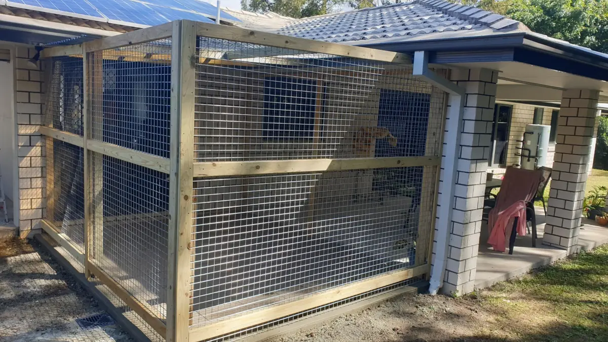Cat Enclosure Run