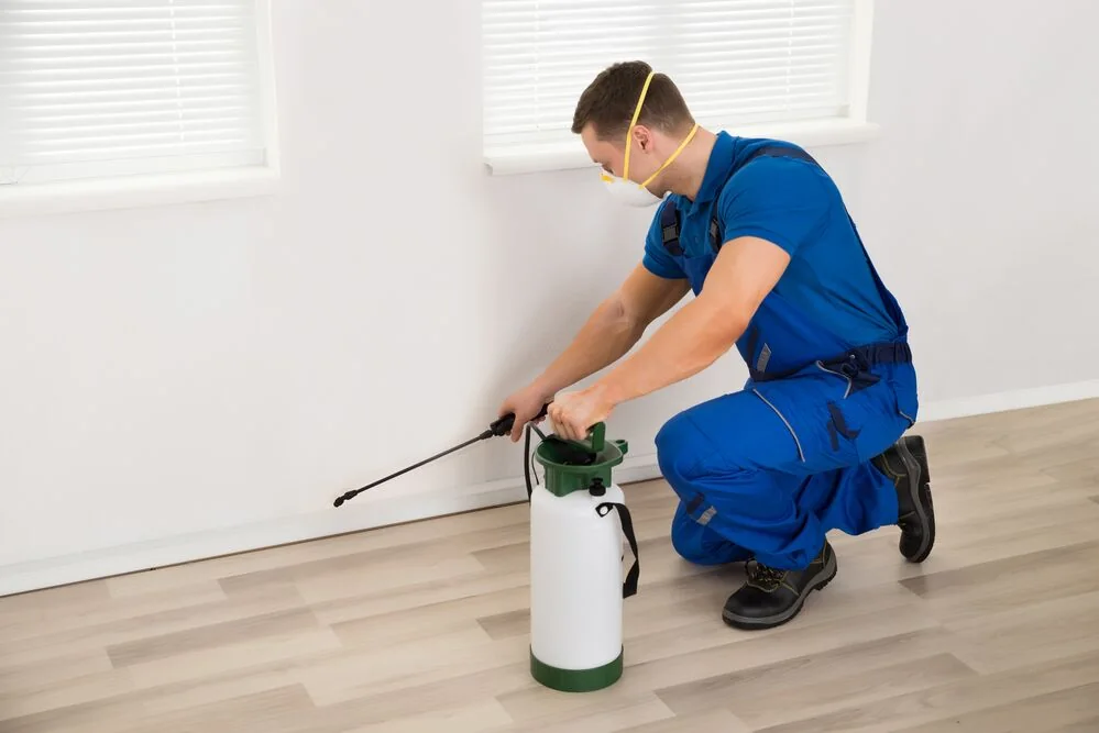 Pest Control by Healthy Homes Carpets & Pest Control